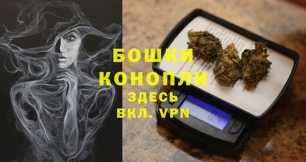 ПСИЛОЦИБИНОВЫЕ ГРИБЫ Лабытнанги