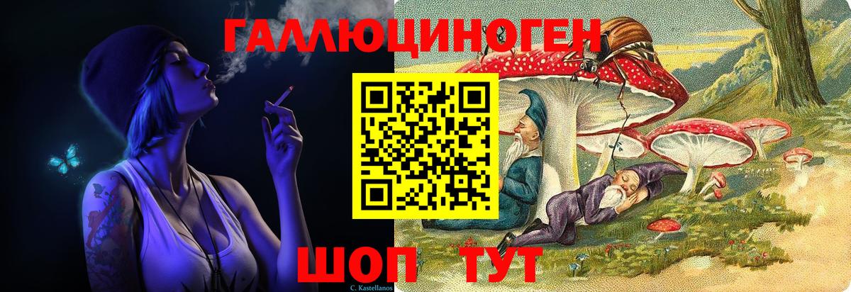 Псилоцибиновые грибы GOLDEN TEACHER Курчатов