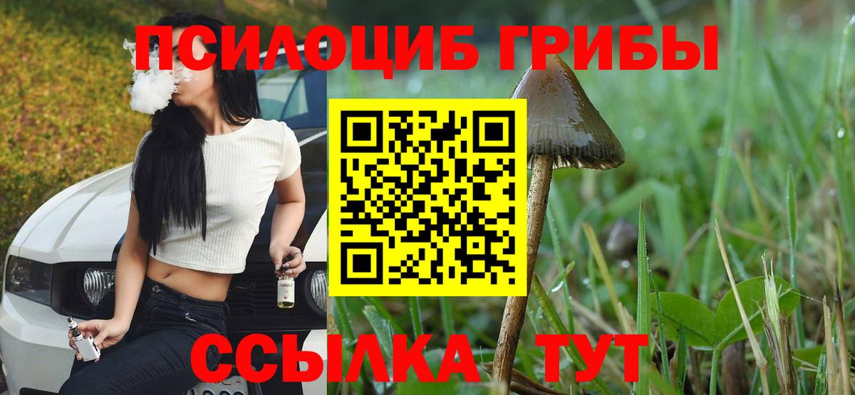Курчатов  Псилоцибиновые грибы Cubensis  Вход с VPN  Псилоцибиновые грибы ЛСД 