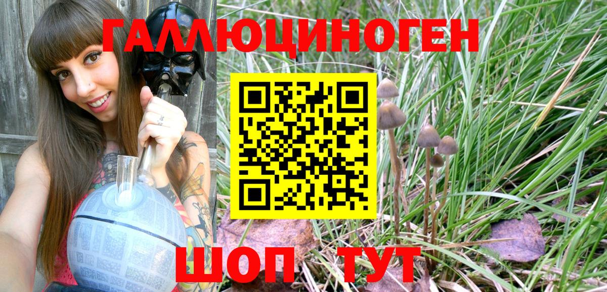 Псилоцибиновые грибы Psilocybine cubensis  Курчатов  Псилоцибиновые грибы MAGIC MUSHROOMS 