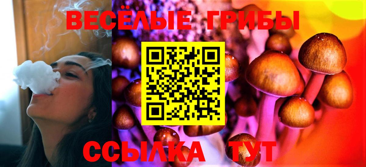 Галлюциногенные грибы ЛСД Курчатов